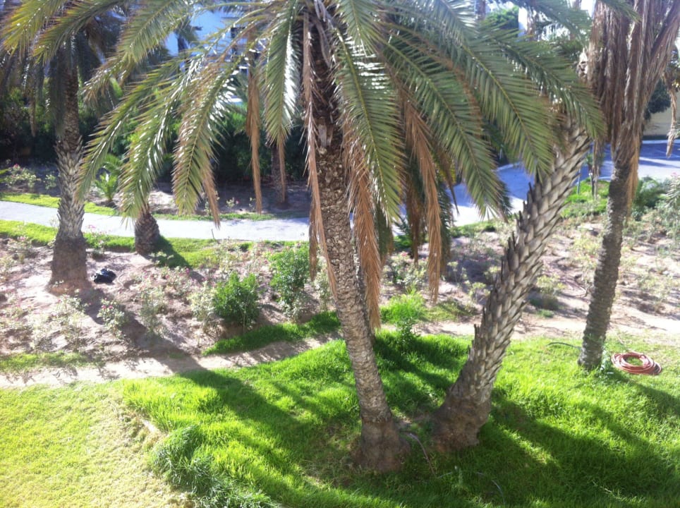 Ausblick Balkon Hotel Marhaba Club