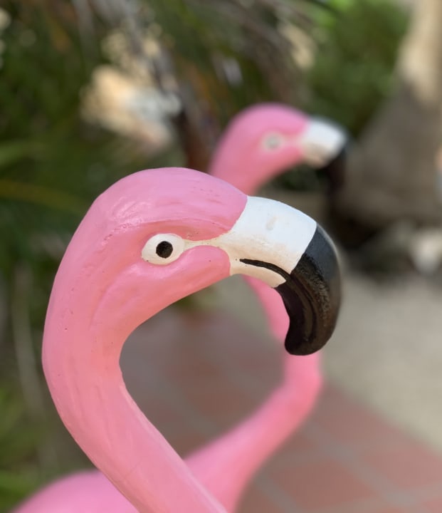 Sonstiges Sonrisa Rooms & Apartments