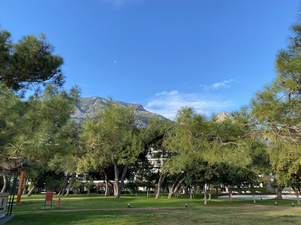 Gartenanlage TUI MAGIC LIFE Beldibi +16