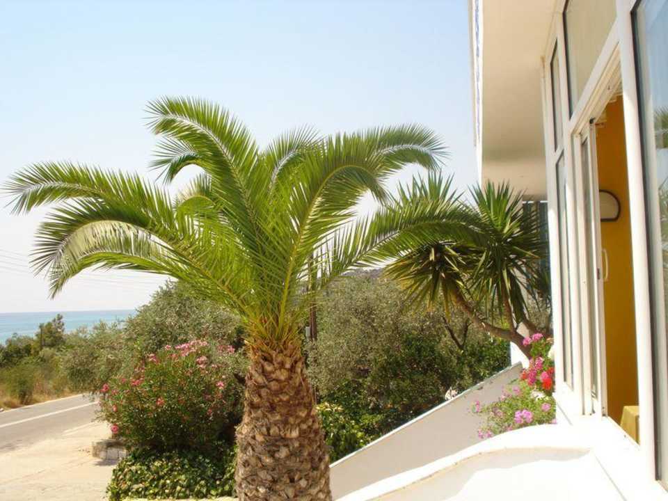 Przed hotelem w oddali plaża i morze Hotel Astris Sun