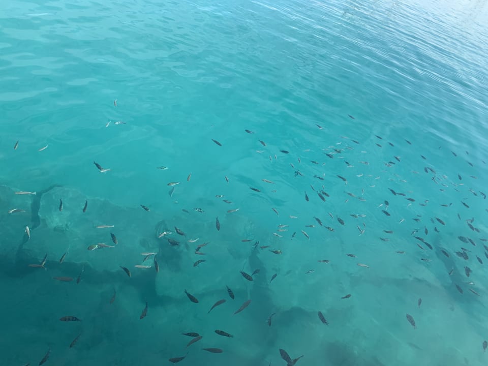 Strand Pickalbatros Citadel Resort