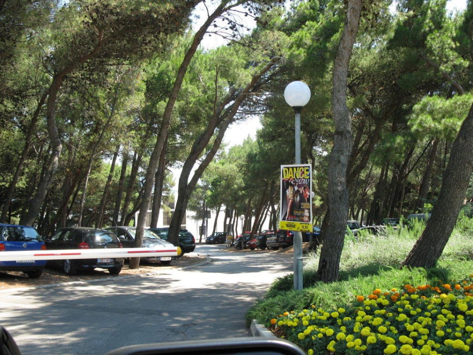 Zufahrt Valamar Sanfior Hotel & Casa