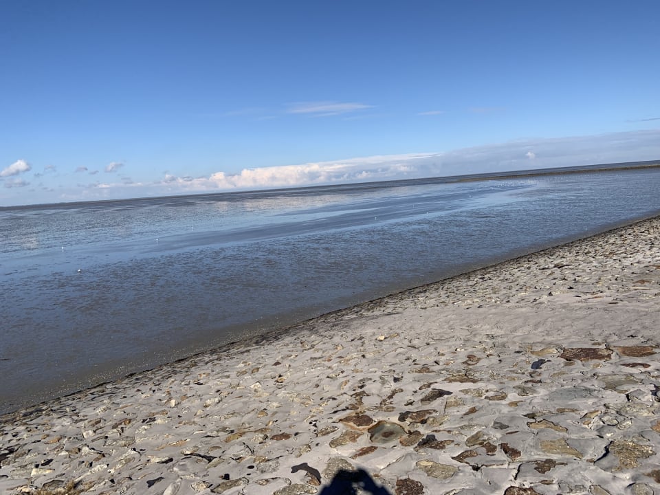 Ausblick Hotel Am Friesenstrand