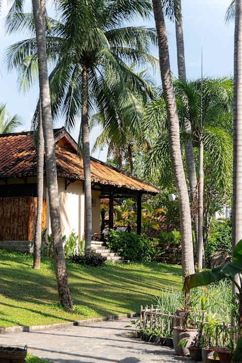 Gartenanlage Seahorse Resort & Spa