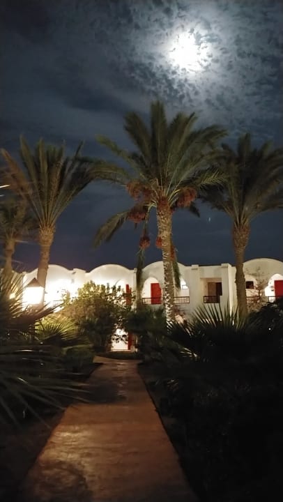 Außenansicht Hotel Gorgonia Beach Resort