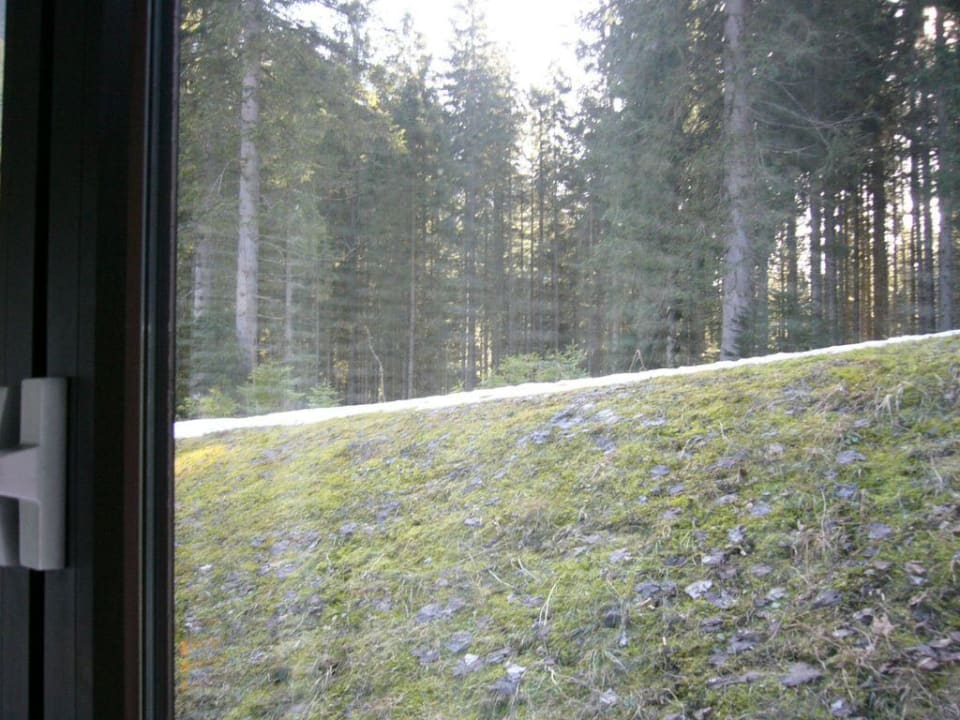 Ausblick aus Zimmerfenster Alpenhotel Ammerwald