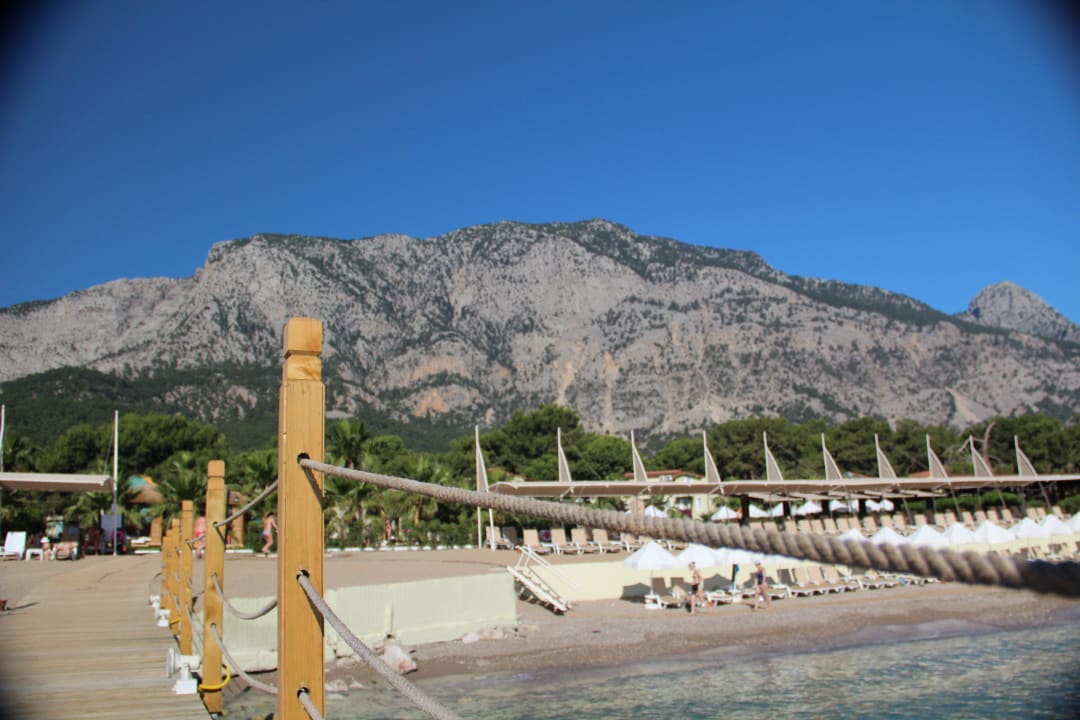 Strand Crystal Flora Pearl Collection