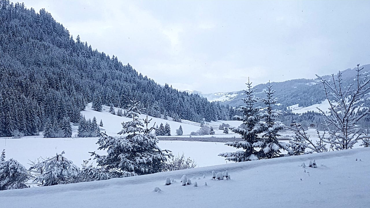 Ausblick Hotel Tyrol am Haldensee