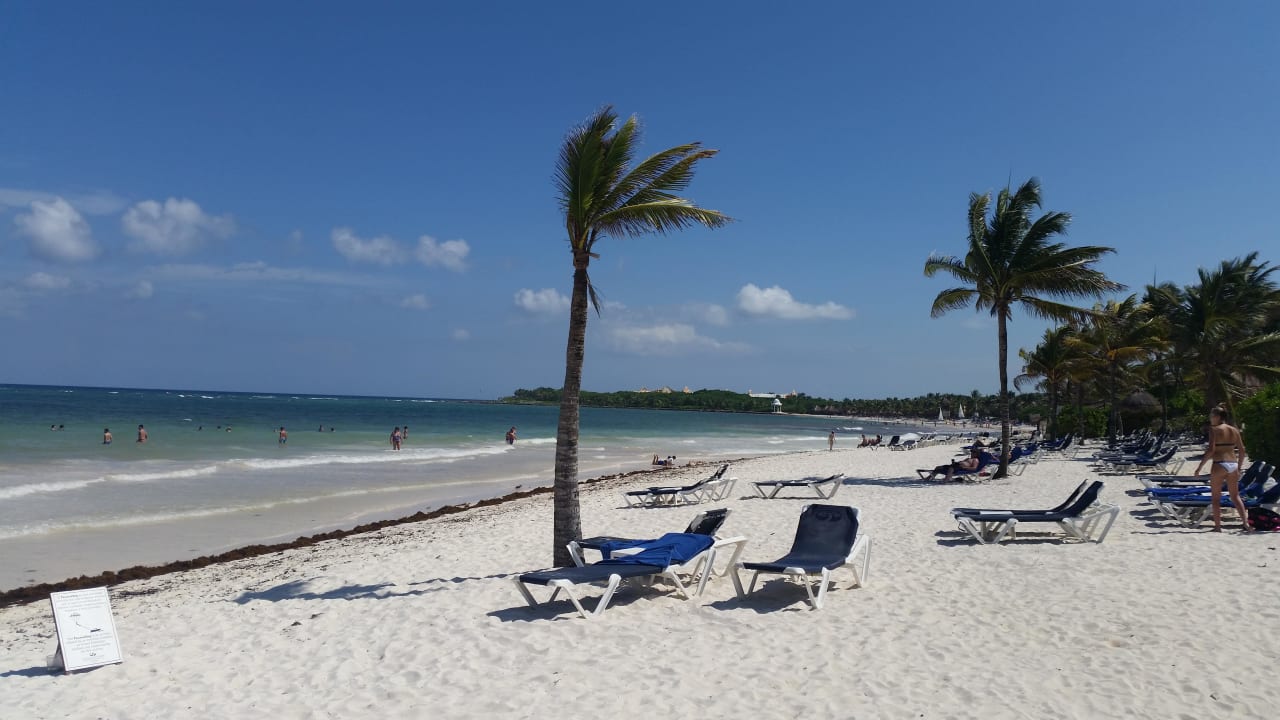 Strand  TRS Yucatan Hotel - Adults only