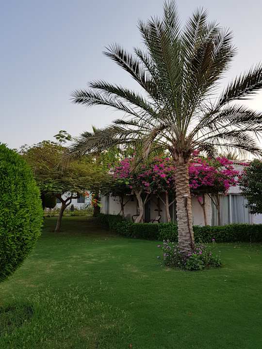 Gartenanlage Sharm Club Beach Resort