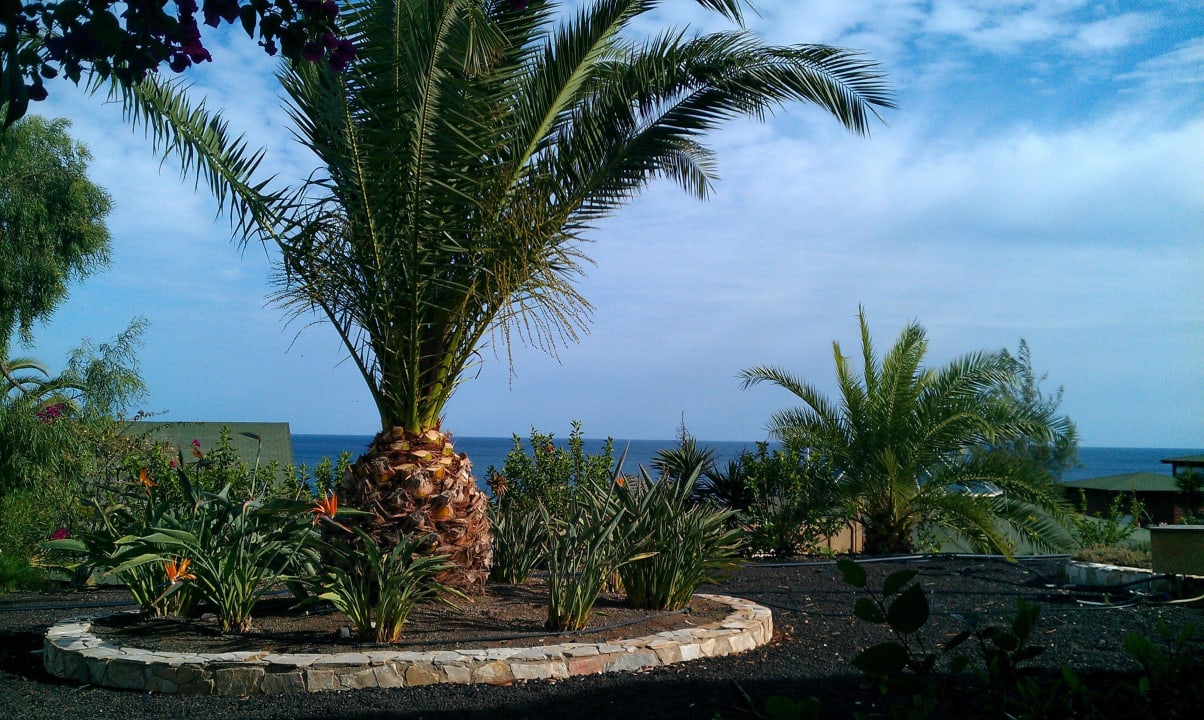 Ausblick von Terrasse auf Meer Marina Playa Suite Hotel
