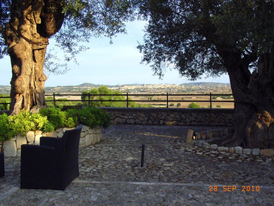 Toller Blick Finca Serena