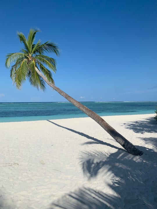 Strand Meeru Maldives Resort Island