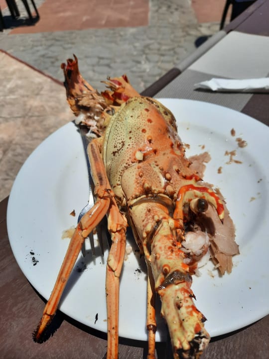 Gastro Paradisus Princesa del Mar Resort & Spa - Adults only