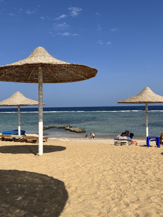 Strand Pickalbatros Sea World Resort - Marsa Alam