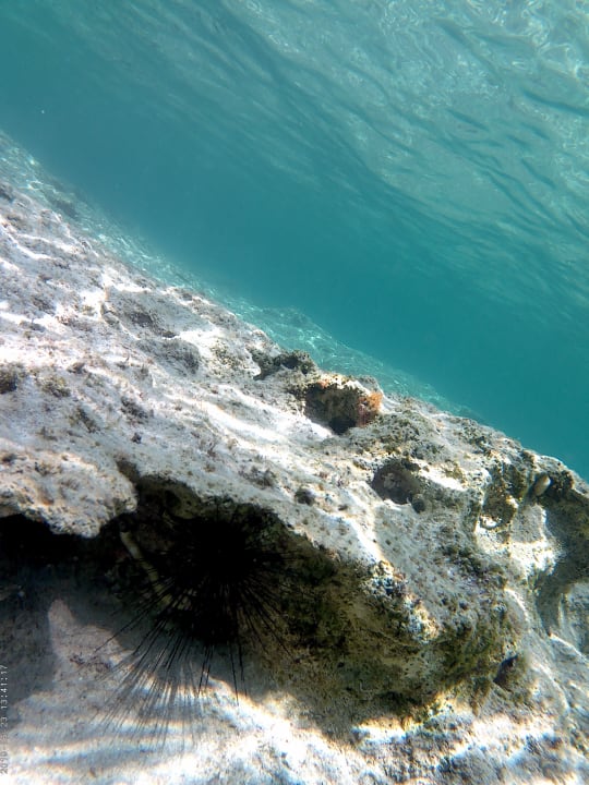 Strand Lindian Dream Seaside Resort