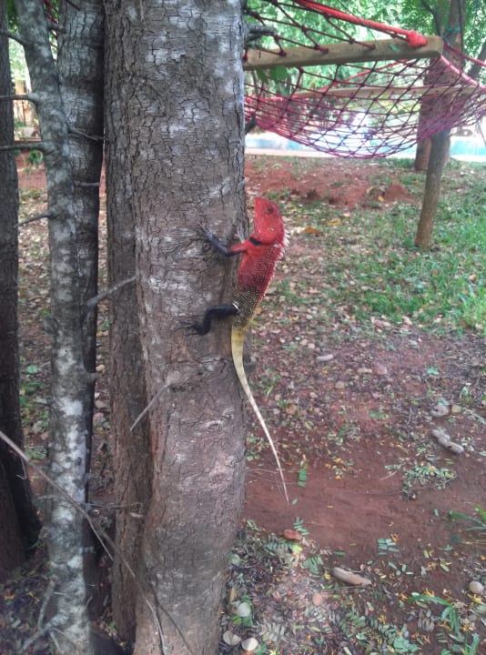 Sonstiges Kuwera Eco Lodge