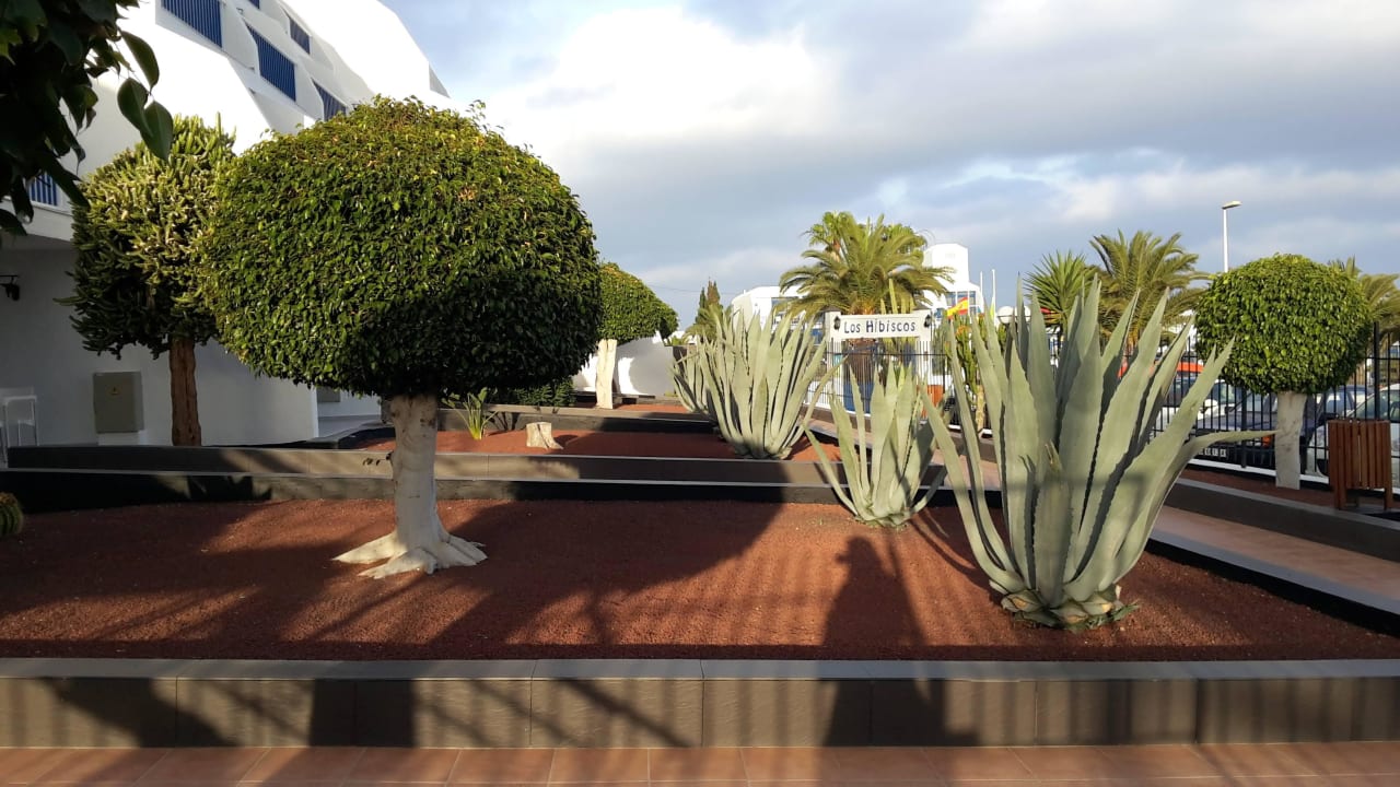 Rückweg vom Restaurant Ereza Apartamentos Los Hibiscos- Adults Only