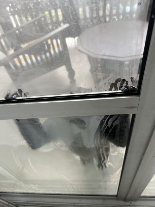 Zimmer Hotel Southern Palms Beach Resort