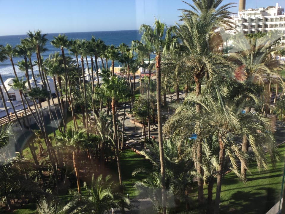 Ausblick Hotel Riu Palace Oasis