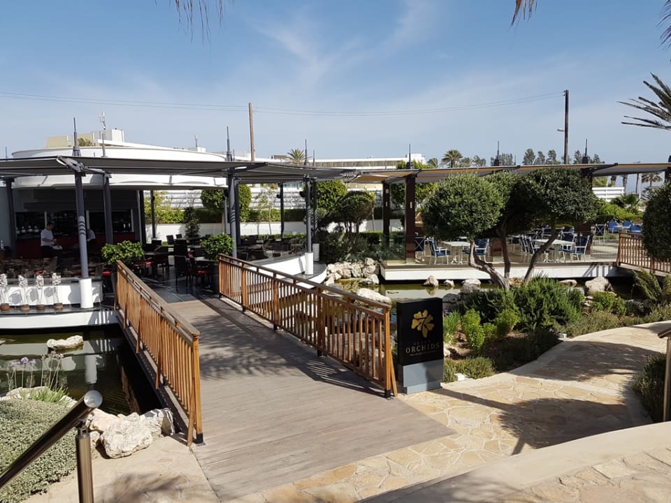 Gastro Olympic Lagoon Resort Paphos