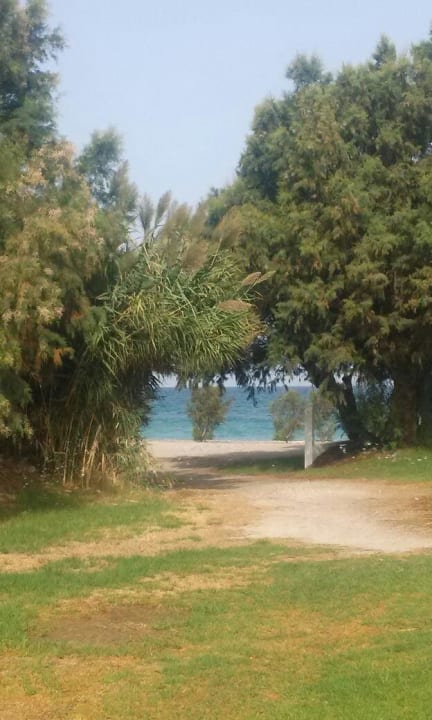 Garten mit Blick zum Meer  TUI KIDS CLUB Alex Beach