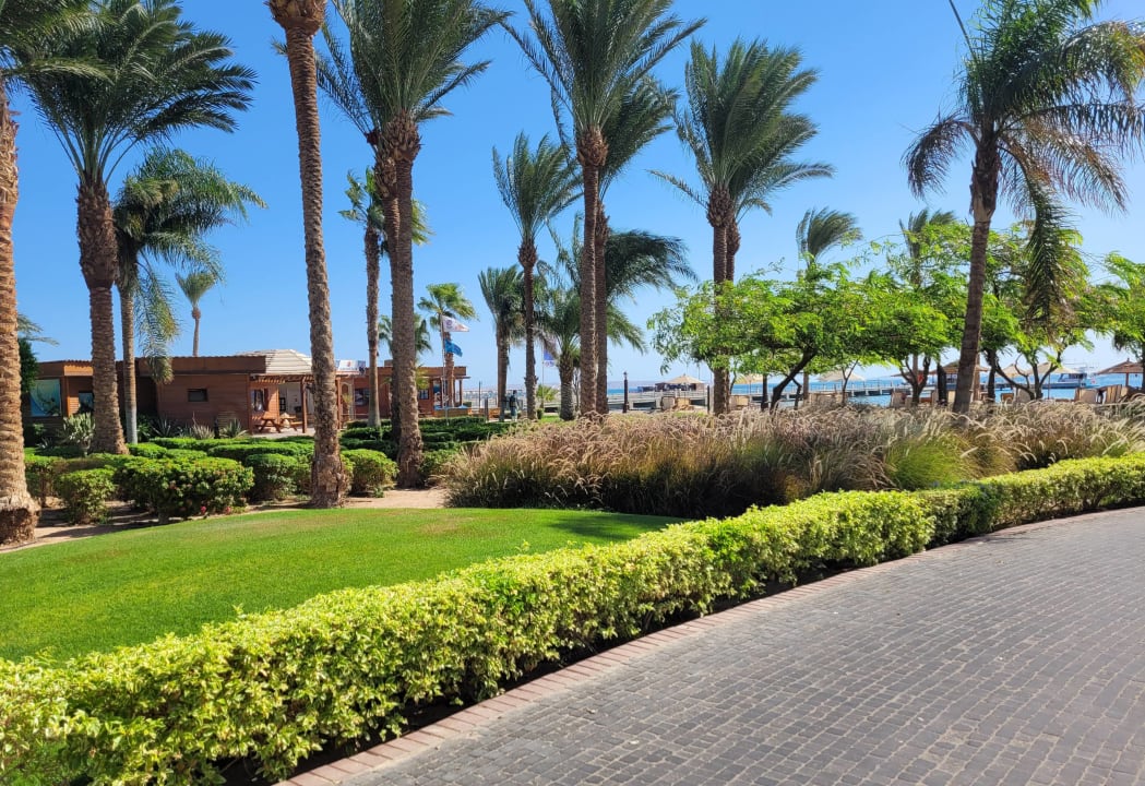 Gartenanlage Steigenberger ALDAU Beach Hotel