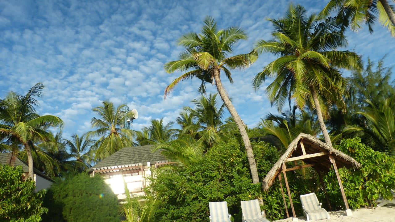 Gartenanlage Summer Island Maldives