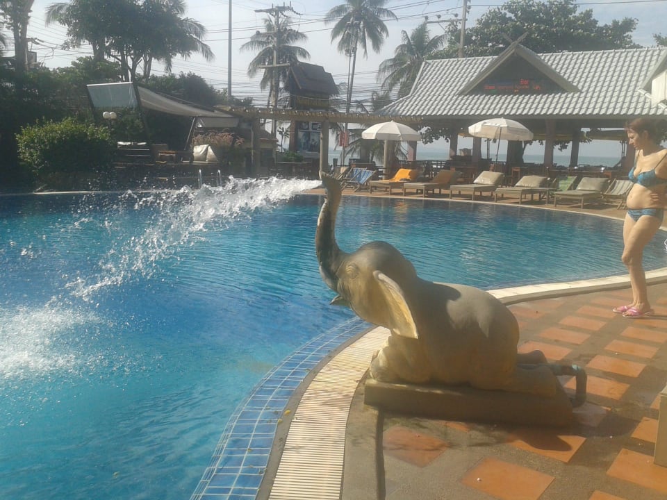 Изюминка отеля Natural Park Resort