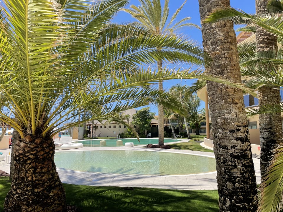 Pool Iberostar Selection Fuerteventura Palace