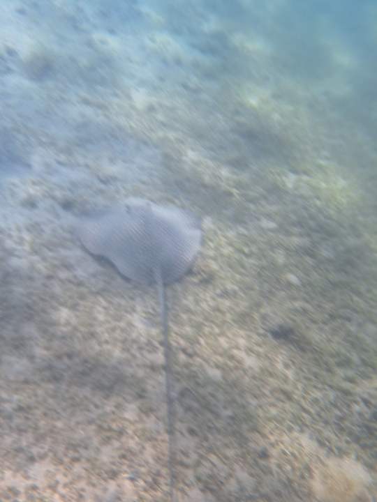 Sonstiges Jaz Makadi Saraya Resort