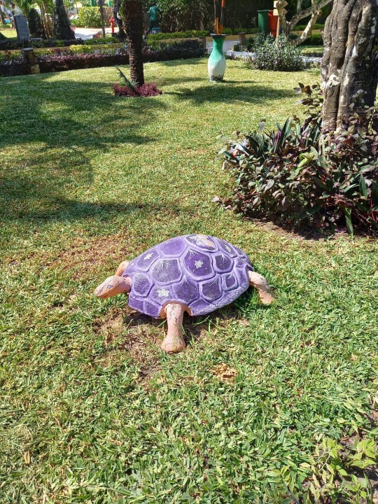 Gartenanlage Hotel Kiwengwa Beach Resort