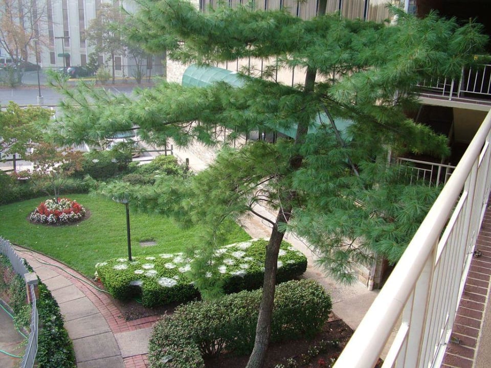 Innenhof Best Western Hotel Fairfax city