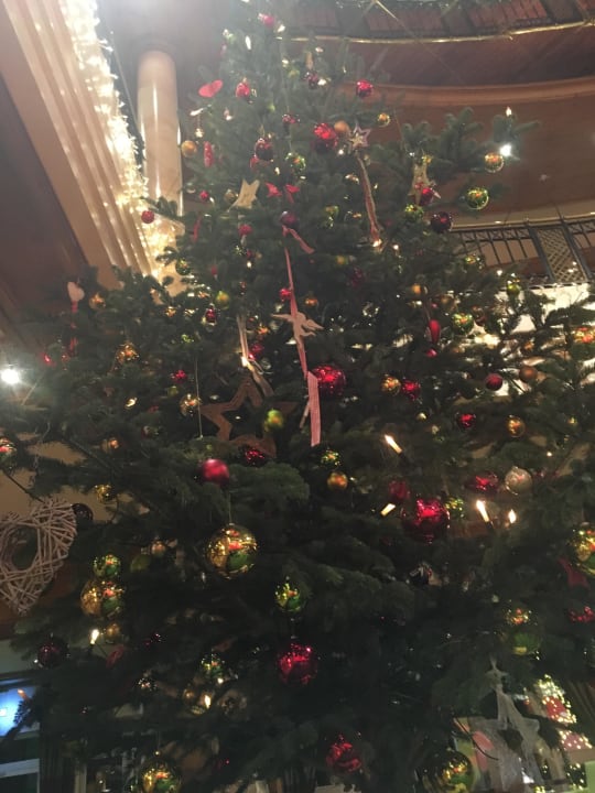 Weihnachtsbaum Oberjoch - Familux Resort