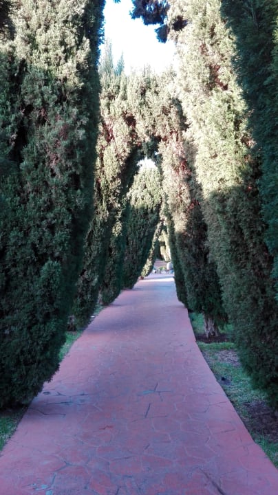 Gartenanlage allsun Hotel Esplendido