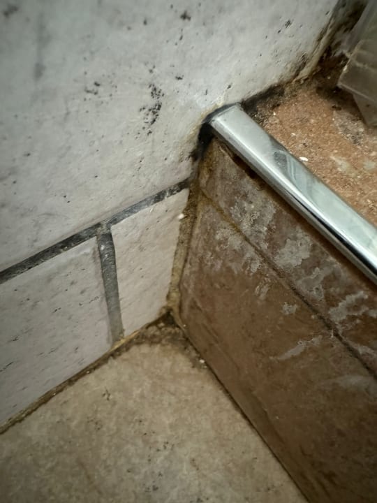 Zimmer Insotel Punta Prima Prestige Suites & Spa