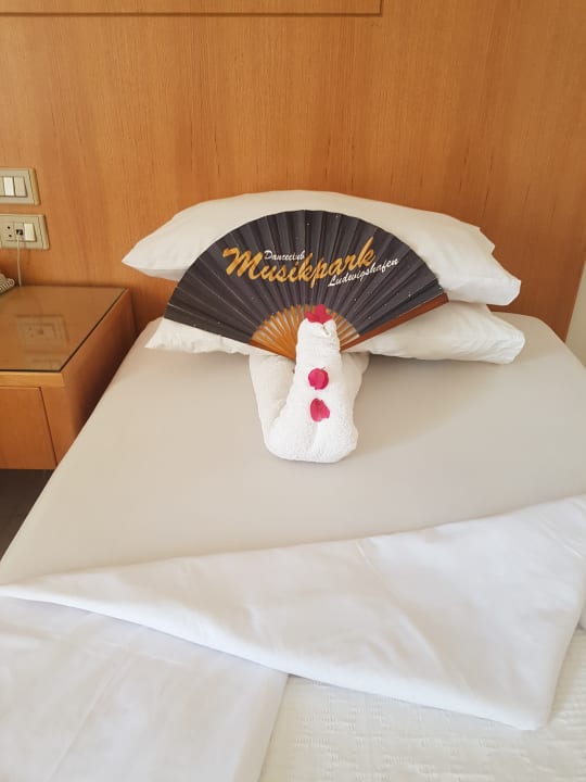 Zimmer Menaville Safaga