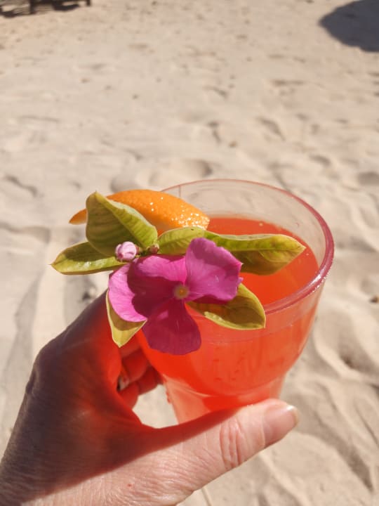 Gastro Novotel Marsa Alam Beach Resort