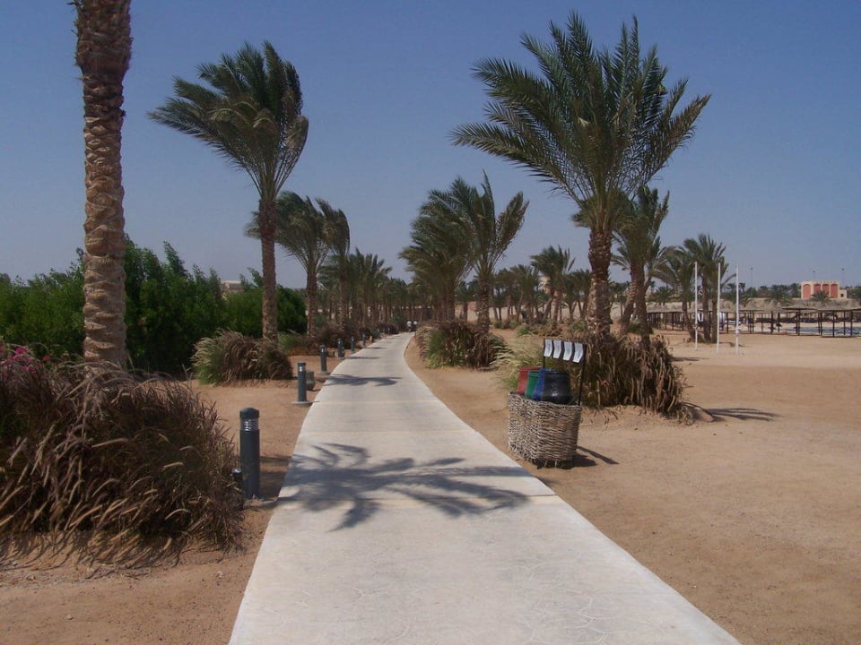 Weg durch Coraya Bucht Steigenberger Coraya Beach - Adults only