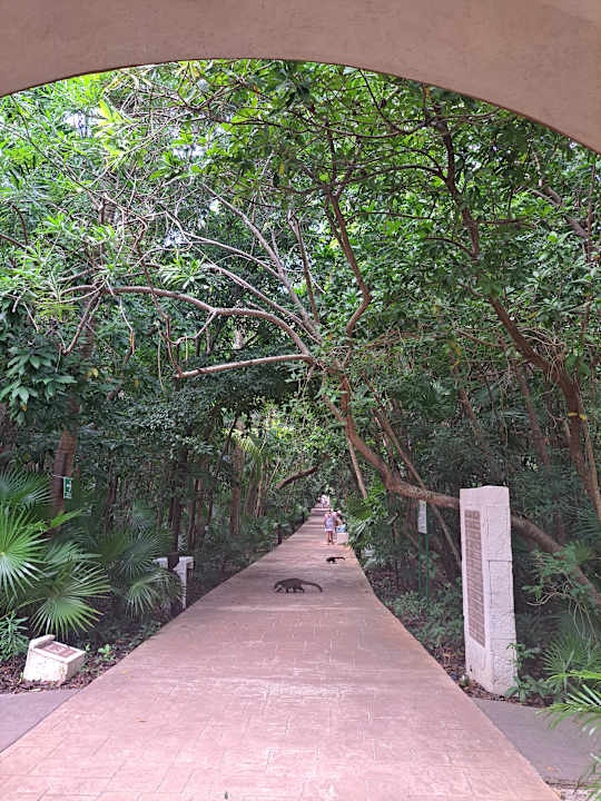 Außenansicht Catalonia Playa Maroma