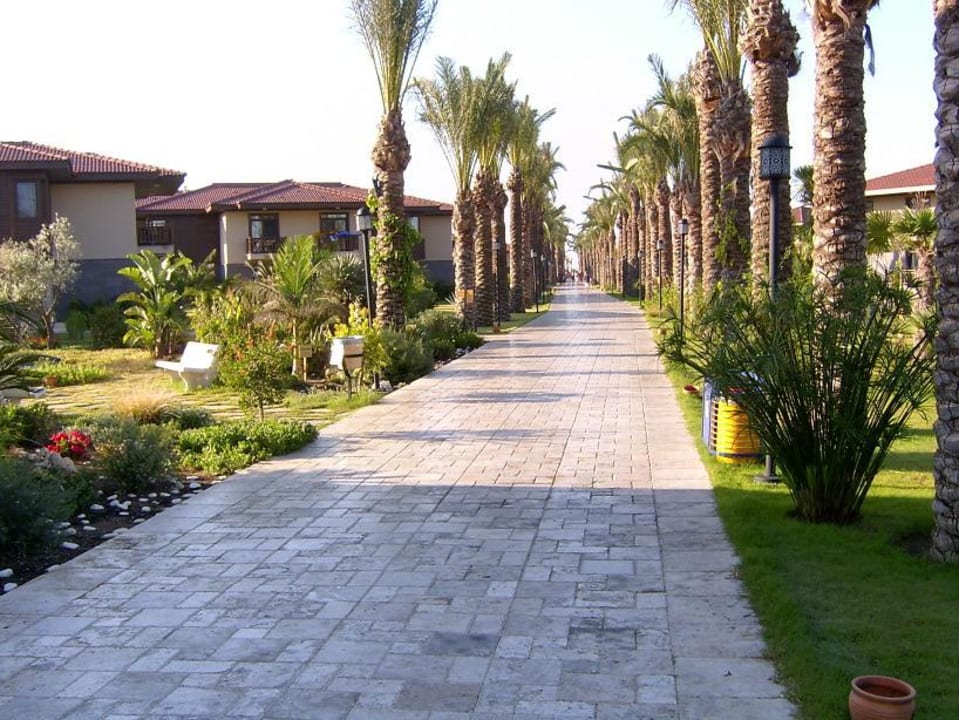 Blick von der Rezeption zum Meer TUI BLUE Palm Garden
