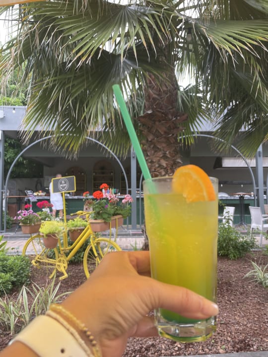 Gastro Dg Hotels Rose Resort