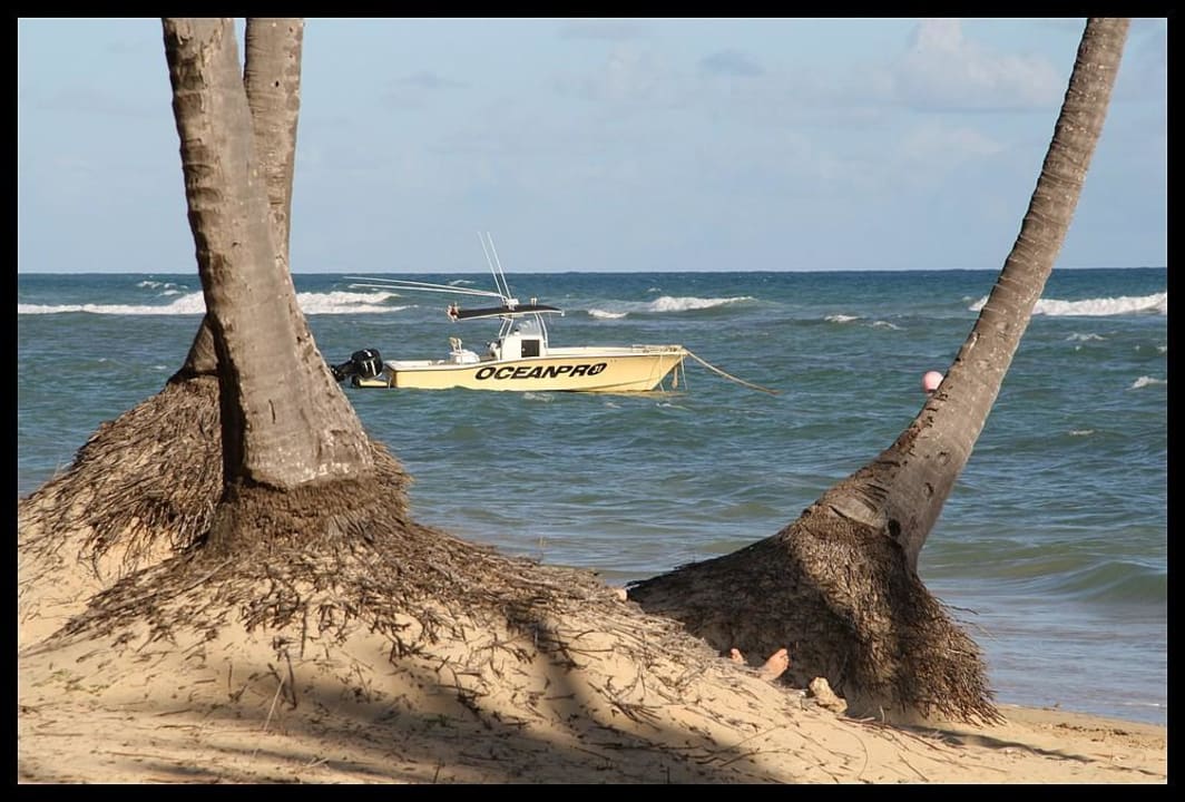 Strand Grand Sirenis Punta Cana Resort & Aquagames