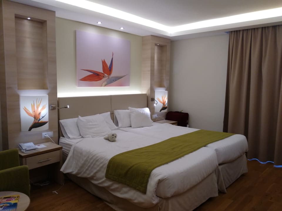 Zimmer Bull Costa Canaria & Spa - Adults only