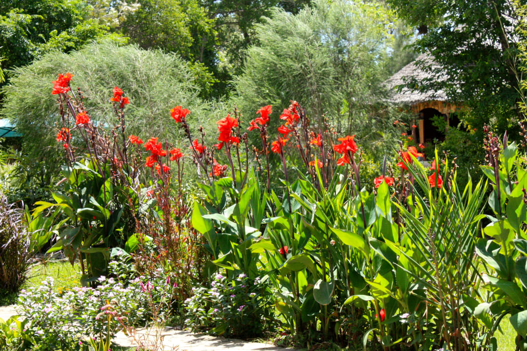 Gartenanlage The Vijiji Center Lodge & Safari