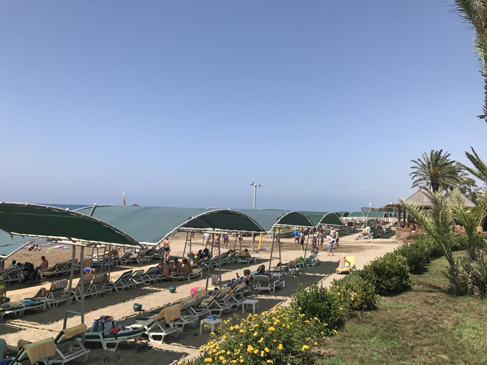 Strand Papillon Belvil