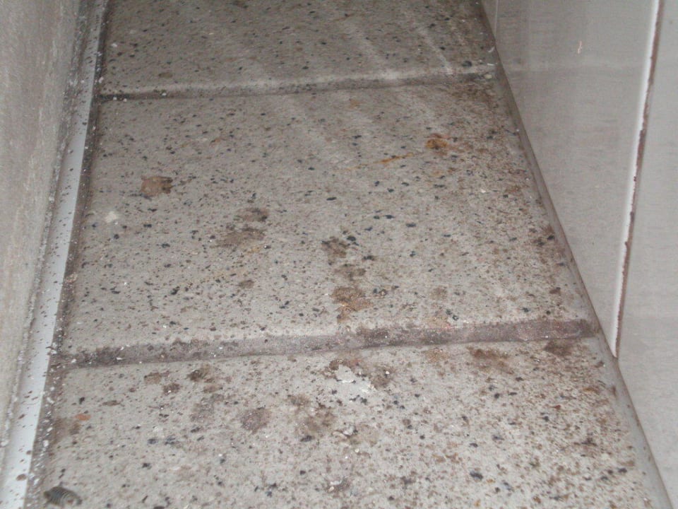 Dreck im Poolbereich Alm-Resort Frühauf