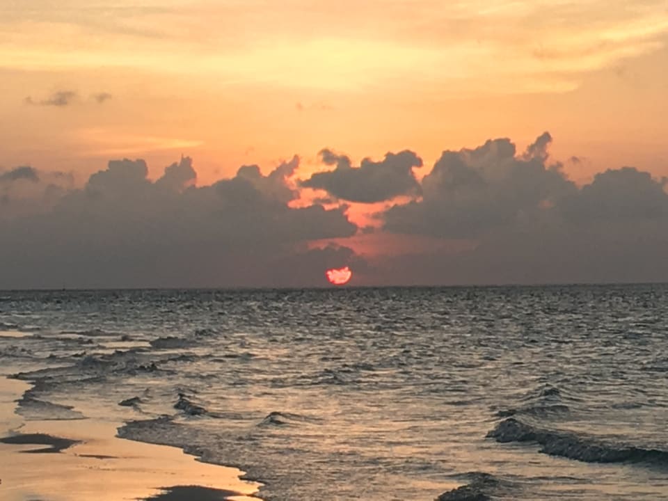 Strand Gangehi Island Resort