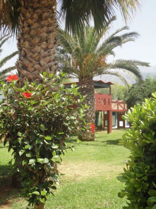 Ogród allsun Hotel Malia Beach