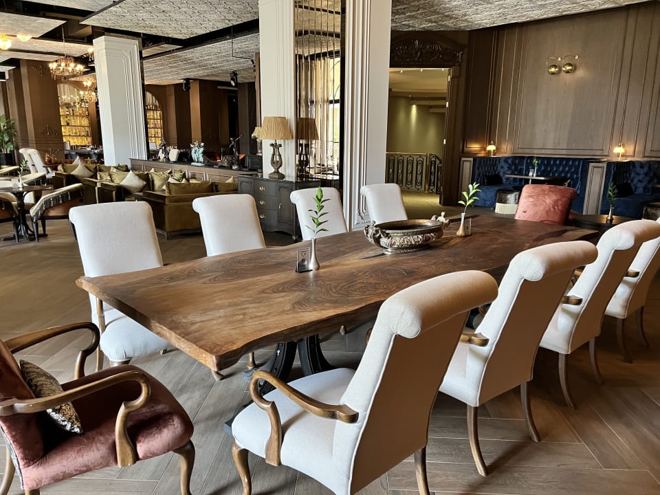 Gastro Papillon Ayscha